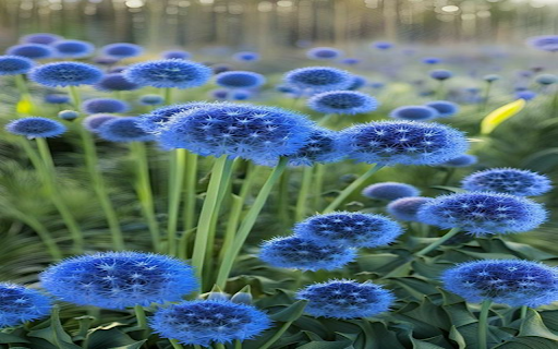 Allium flowers wallpaper from Chrome web store to be run with OffiDocs Chromium online Allium flowers wallpaper from Chrome web store to be run with OffiDocs Chromium online