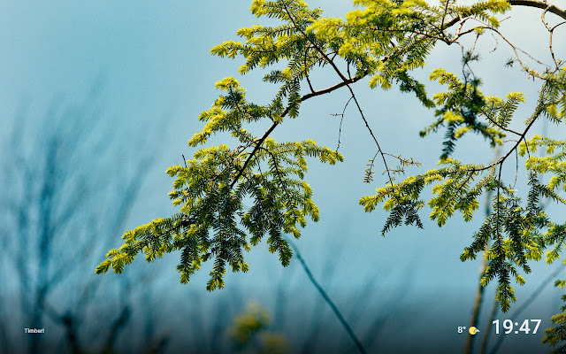 Ambient TV from Chrome web store to be run with OffiDocs Chromium online Ambient TV from Chrome web store to be run with OffiDocs Chromium online
