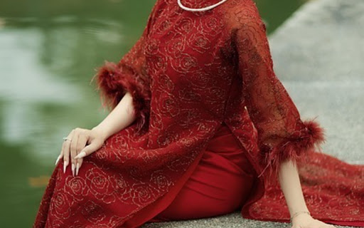 AO DAI THEME from Chrome web store to be run with OffiDocs Chromium online AO DAI THEME from Chrome web store to be run with OffiDocs Chromium online