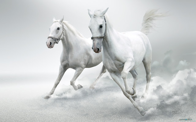 A pair of Horses from Chrome web store to be run with OffiDocs Chromium online A pair of Horses from Chrome web store to be run with OffiDocs Chromium online