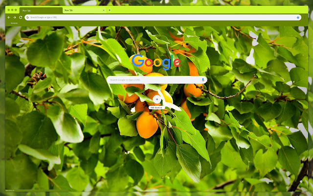Apricots in the foliage from Chrome web store to be run with OffiDocs Chromium online Apricots in the foliage from Chrome web store to be run with OffiDocs Chromium online