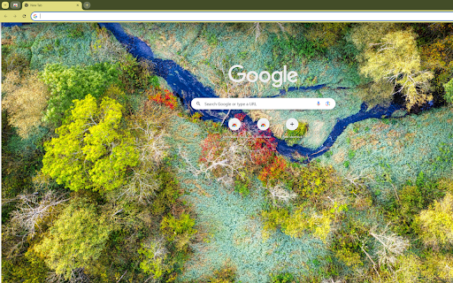 a tropical rainforest from a high vantage point from Chrome web store to be run with OffiDocs Chromium online a tropical rainforest from a high vantage point from Chrome web store to be run with OffiDocs Chromium online