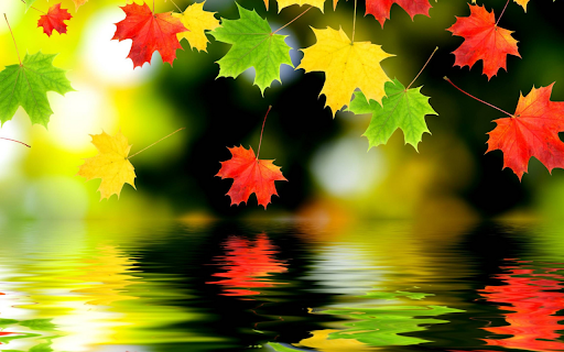 Autumn Reflection from Chrome web store to be run with OffiDocs Chromium online Autumn Reflection from Chrome web store to be run with OffiDocs Chromium online