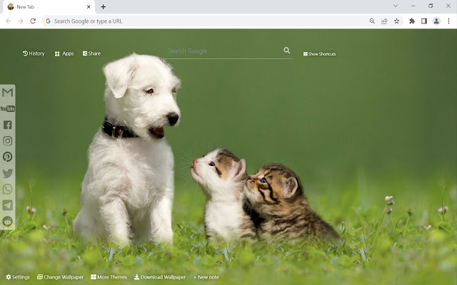 Baby Animals Wallpaper New Tab from Chrome web store to be run with OffiDocs Chromium online Baby Animals Wallpaper New Tab from Chrome web store to be run with OffiDocs Chromium online
