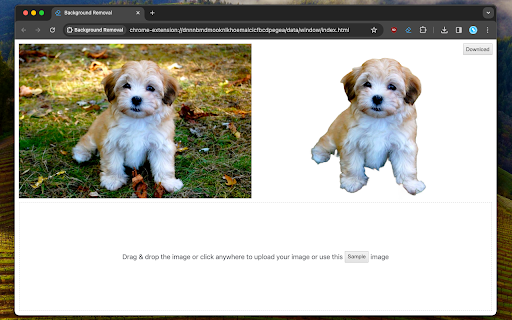 Background Removal from Chrome web store to be run with OffiDocs Chromium online Background Removal from Chrome web store to be run with OffiDocs Chromium online