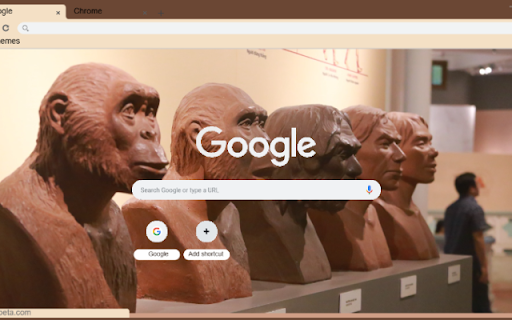 Bao tang Tien Su from Chrome web store to be run with OffiDocs Chromium online Bao tang Tien Su from Chrome web store to be run with OffiDocs Chromium online
