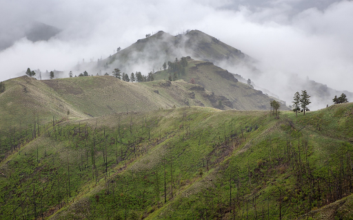 Bare hills and clouds and mist from Chrome web store to be run with OffiDocs Chromium online Bare hills and clouds and mist from Chrome web store to be run with OffiDocs Chromium online