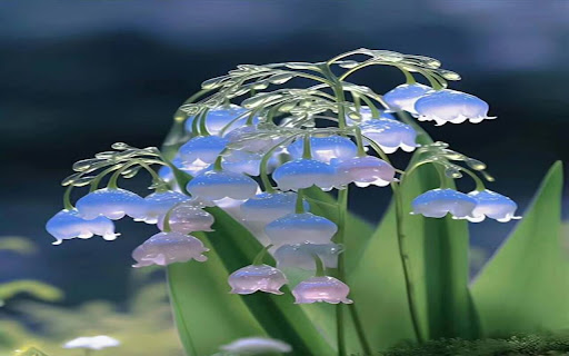 beautiful bell flower wallpaper from Chrome web store to be run with OffiDocs Chromium online beautiful bell flower wallpaper from Chrome web store to be run with OffiDocs Chromium online