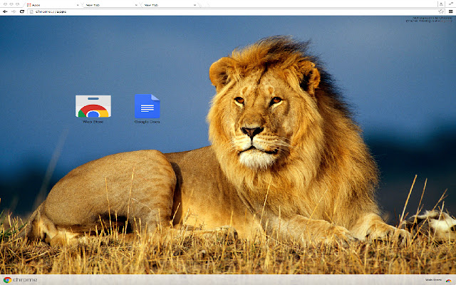 Beautiful Lion Theme from Chrome web store to be run with OffiDocs Chromium online Beautiful Lion Theme from Chrome web store to be run with OffiDocs Chromium online