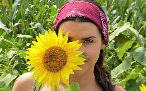 Behind a flower from Chrome web store to be run with OffiDocs Chromium online Behind a flower from Chrome web store to be run with OffiDocs Chromium online