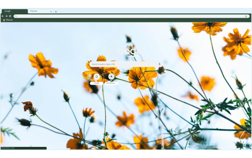 Bloom Flowers from Chrome web store to be run with OffiDocs Chromium online Bloom Flowers from Chrome web store to be run with OffiDocs Chromium online