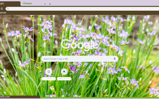 Blue Eyed Grass from Chrome web store to be run with OffiDocs Chromium online Blue Eyed Grass from Chrome web store to be run with OffiDocs Chromium online
