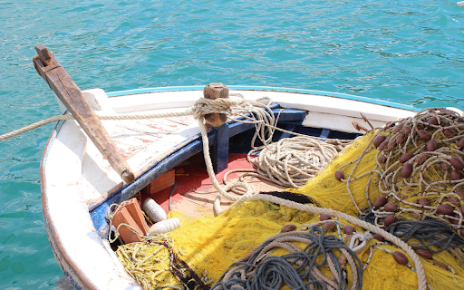Boats and fishing nets from Chrome web store to be run with OffiDocs Chromium online Boats and fishing nets from Chrome web store to be run with OffiDocs Chromium online