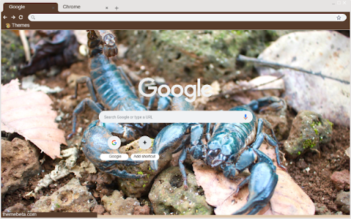 Bo cap xanh from Chrome web store to be run with OffiDocs Chromium online Bo cap xanh from Chrome web store to be run with OffiDocs Chromium online
