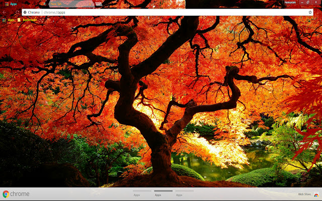 Bonny Fall Nature from Chrome web store to be run with OffiDocs Chromium online Bonny Fall Nature from Chrome web store to be run with OffiDocs Chromium online