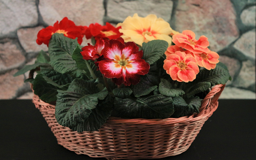 Bright flower basket from Chrome web store to be run with OffiDocs Chromium online Bright flower basket from Chrome web store to be run with OffiDocs Chromium online