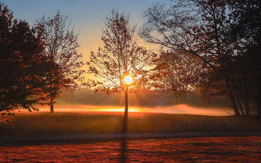 brilliant sunset from Chrome web store to be run with OffiDocs Chromium online brilliant sunset from Chrome web store to be run with OffiDocs Chromium online