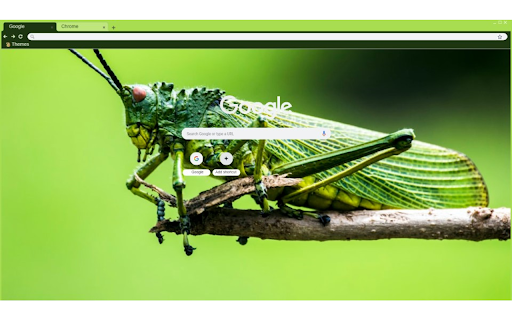 Bugwise Theme from Chrome web store to be run with OffiDocs Chromium online Bugwise Theme from Chrome web store to be run with OffiDocs Chromium online