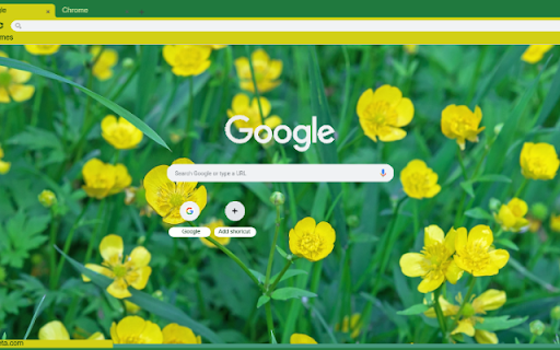 Buttercup from Chrome web store to be run with OffiDocs Chromium online Buttercup from Chrome web store to be run with OffiDocs Chromium online