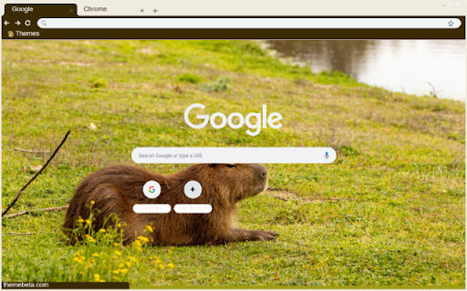 Capybara from Chrome web store to be run with OffiDocs Chromium online Capybara from Chrome web store to be run with OffiDocs Chromium online