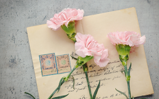 Carnation Branch on a Greeting Card from Chrome web store to be run with OffiDocs Chromium online Carnation Branch on a Greeting Card from Chrome web store to be run with OffiDocs Chromium online