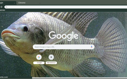 Ca ro from Chrome web store to be run with OffiDocs Chromium online Ca ro from Chrome web store to be run with OffiDocs Chromium online
