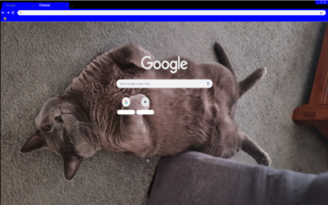 Cat Manspreading from Chrome web store to be run with OffiDocs Chromium online Cat Manspreading from Chrome web store to be run with OffiDocs Chromium online