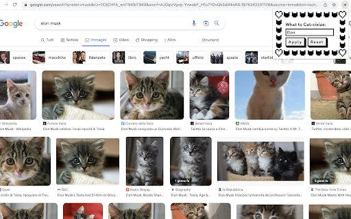 Cats Instead from Chrome web store to be run with OffiDocs Chromium online Cats Instead from Chrome web store to be run with OffiDocs Chromium online