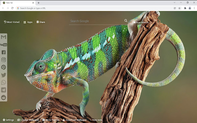 Chameleon Wallpaper HD New Tab from Chrome web store to be run with OffiDocs Chromium online Chameleon Wallpaper HD New Tab from Chrome web store to be run with OffiDocs Chromium online