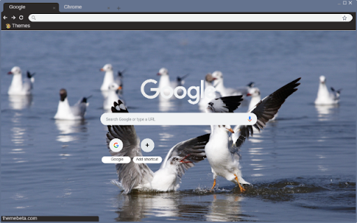 Chim Hai Au from Chrome web store to be run with OffiDocs Chromium online Chim Hai Au from Chrome web store to be run with OffiDocs Chromium online