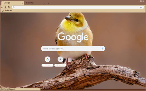 Chim Se Vang from Chrome web store to be run with OffiDocs Chromium online Chim Se Vang from Chrome web store to be run with OffiDocs Chromium online