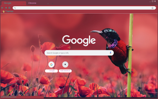 Chim Tuc from Chrome web store to be run with OffiDocs Chromium online Chim Tuc from Chrome web store to be run with OffiDocs Chromium online