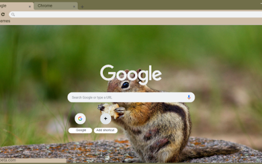 Chipmunk from Chrome web store to be run with OffiDocs Chromium online Chipmunk from Chrome web store to be run with OffiDocs Chromium online