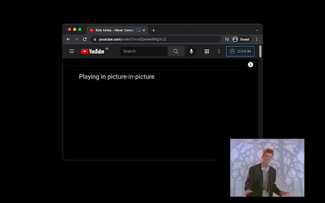 Chrome PIP from Chrome web store to be run with OffiDocs Chromium online Chrome PIP from Chrome web store to be run with OffiDocs Chromium online