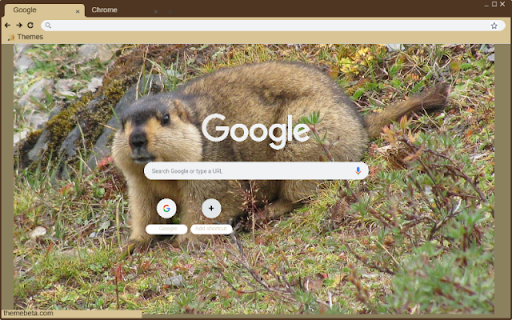 Chuot nui chau My from Chrome web store to be run with OffiDocs Chromium online Chuot nui chau My from Chrome web store to be run with OffiDocs Chromium online
