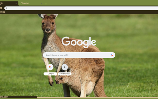 Chuot Tui from Chrome web store to be run with OffiDocs Chromium online Chuot Tui from Chrome web store to be run with OffiDocs Chromium online
