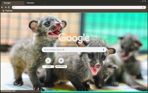 Civet from Chrome web store to be run with OffiDocs Chromium online Civet from Chrome web store to be run with OffiDocs Chromium online
