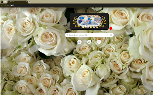 Close up of White Roses from Chrome web store to be run with OffiDocs Chromium online Close up of White Roses from Chrome web store to be run with OffiDocs Chromium online