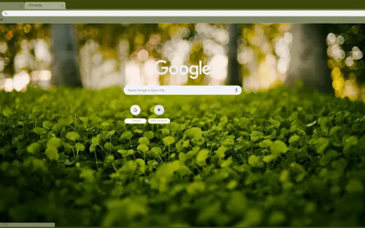 Clover Bed from Chrome web store to be run with OffiDocs Chromium online Clover Bed from Chrome web store to be run with OffiDocs Chromium online