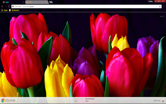 Colorful Flower Red Tulip 1920*1080 from Chrome web store to be run with OffiDocs Chromium online Colorful Flower Red Tulip 1920*1080 from Chrome web store to be run with OffiDocs Chromium online