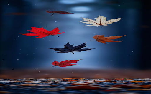 Colorful maple leaves Wallpaper from Chrome web store to be run with OffiDocs Chromium online Colorful maple leaves Wallpaper from Chrome web store to be run with OffiDocs Chromium online