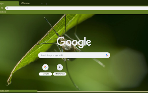 Con Trung La from Chrome web store to be run with OffiDocs Chromium online Con Trung La from Chrome web store to be run with OffiDocs Chromium online