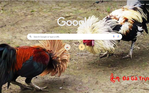 Da Ga Truc Tiep Live Thoma Cock Fighting from Chrome web store to be run with OffiDocs Chromium online Da Ga Truc Tiep Live Thoma Cock Fighting from Chrome web store to be run with OffiDocs Chromium online