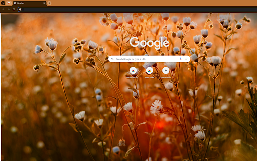 daisies bathed in the golden light of sunset from Chrome web store to be run with OffiDocs Chromium online daisies bathed in the golden light of sunset from Chrome web store to be run with OffiDocs Chromium online