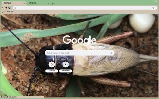 De Gay from Chrome web store to be run with OffiDocs Chromium online De Gay from Chrome web store to be run with OffiDocs Chromium online