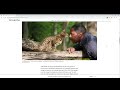 Disable Scrolling from Chrome web store to be run with OffiDocs Chromium online Disable Scrolling from Chrome web store to be run with OffiDocs Chromium online