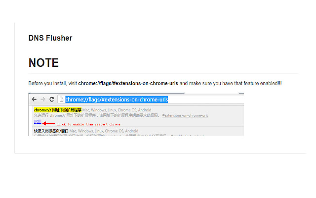 DNS Flusher from Chrome web store to be run with OffiDocs Chromium online DNS Flusher from Chrome web store to be run with OffiDocs Chromium online