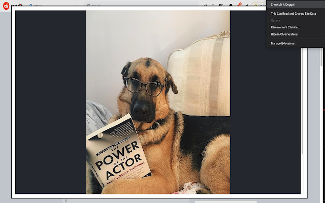 Doggo Images from Chrome web store to be run with OffiDocs Chromium online Doggo Images from Chrome web store to be run with OffiDocs Chromium online