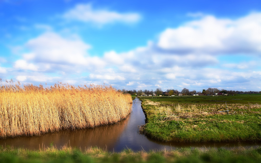 Dry grass field from Chrome web store to be run with OffiDocs Chromium online Dry grass field from Chrome web store to be run with OffiDocs Chromium online