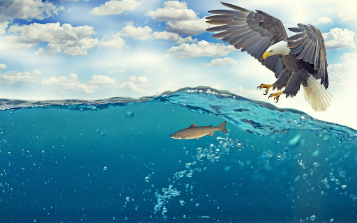 Eagle hunting from Chrome web store to be run with OffiDocs Chromium online Eagle hunting from Chrome web store to be run with OffiDocs Chromium online